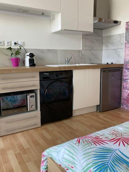 Apartmán Le Cosy Tassin - Rez De Jardin Exteriér fotografie